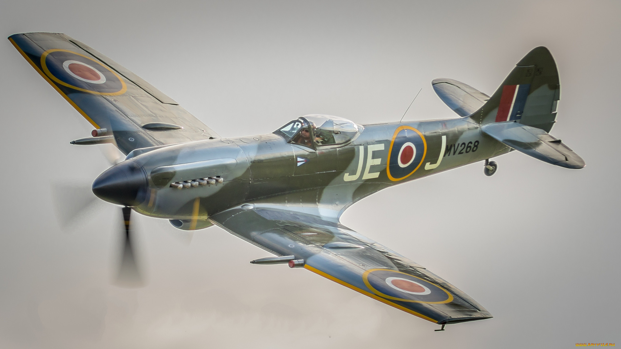 spitfire, ,  , 